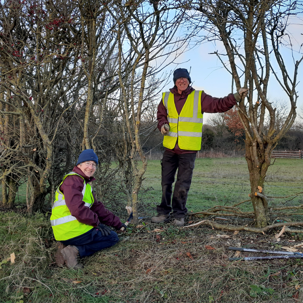 Volunteers Karen and David using traditional conservation methods at Sidmouth