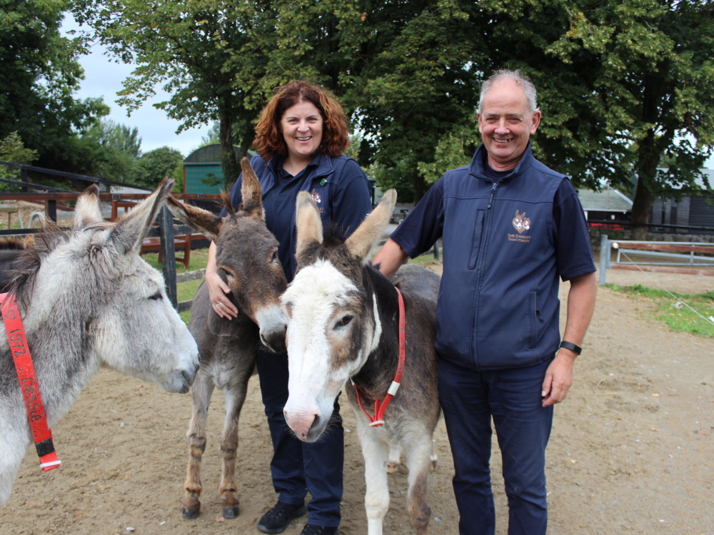 The Donkey Sanctuary Ireland's welfare team surrounded by three donkeys
