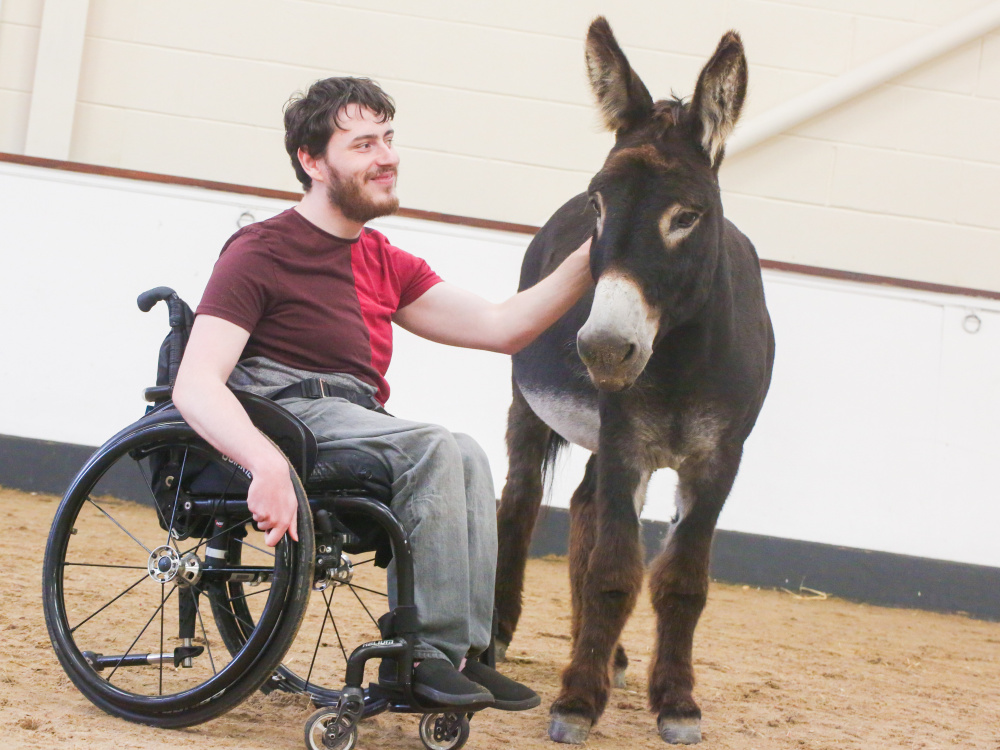 Francis and Harbin during a donkey-assisted therapy session
