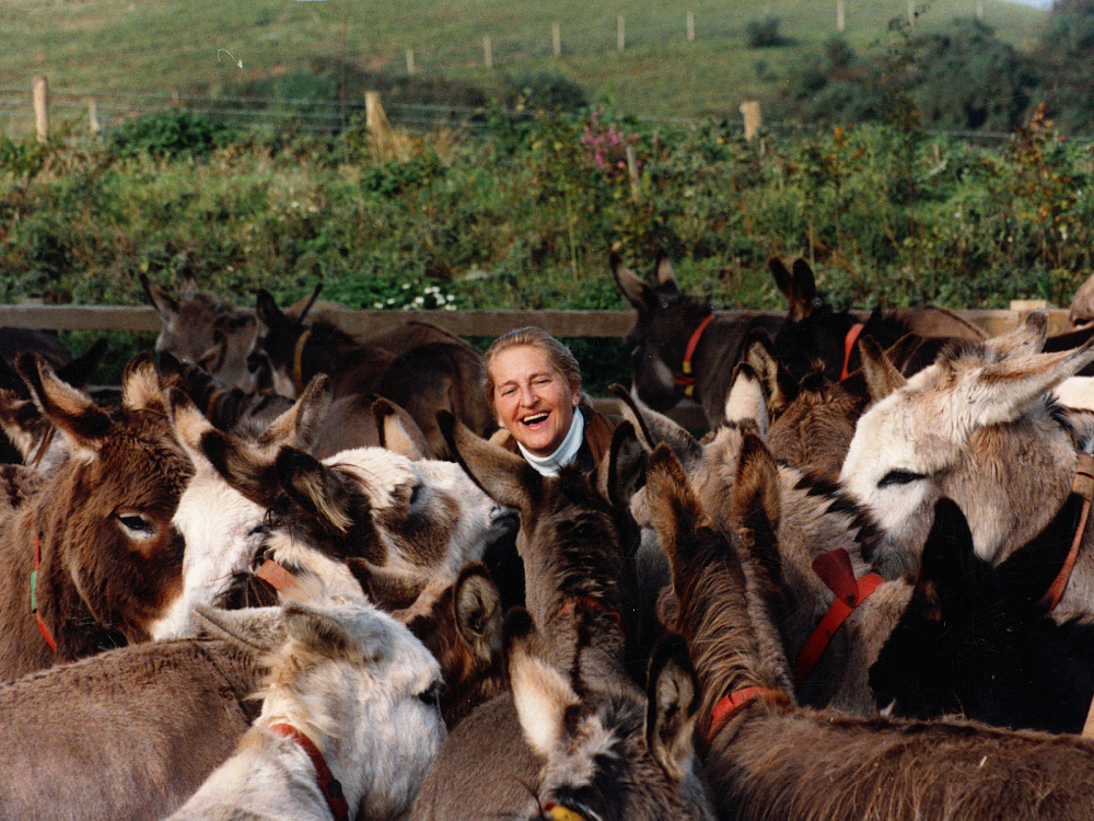 Dr Svendsen surrounded by donkeys