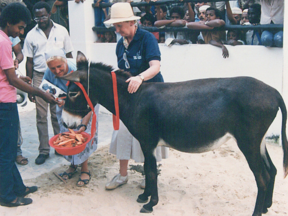 Dr Svendsen and June Evers judge the Lamu donkey competition