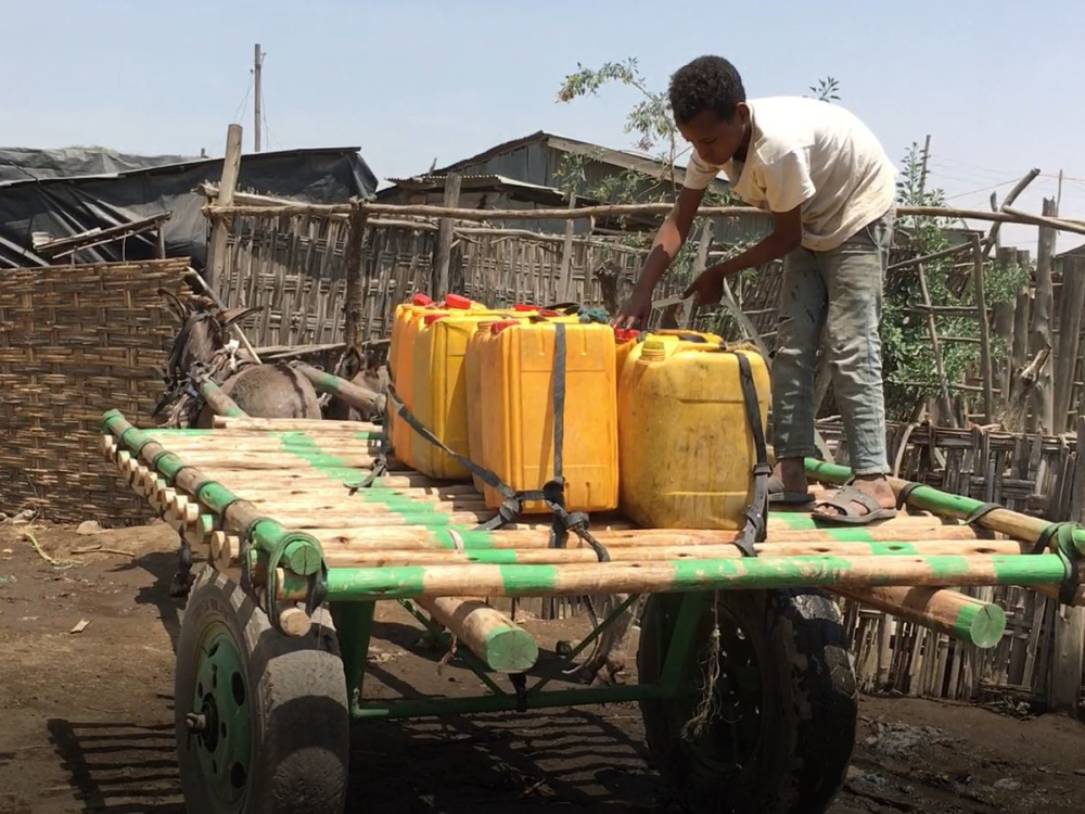 Child loading water cart, Ethiopia