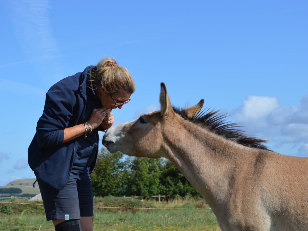 Dotty with Derbyshire farm supervisor
