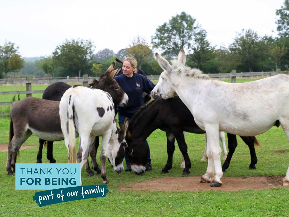 Jaime Down with a group of rescued donkeys with a "Thank you for being part of our family" banner in the bottom left corner of the image.
