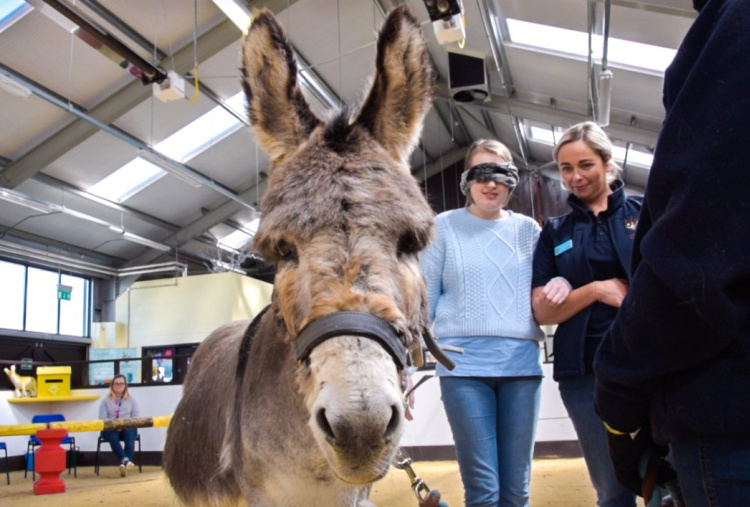 Leighann benefiting from donkey-assisted therapy