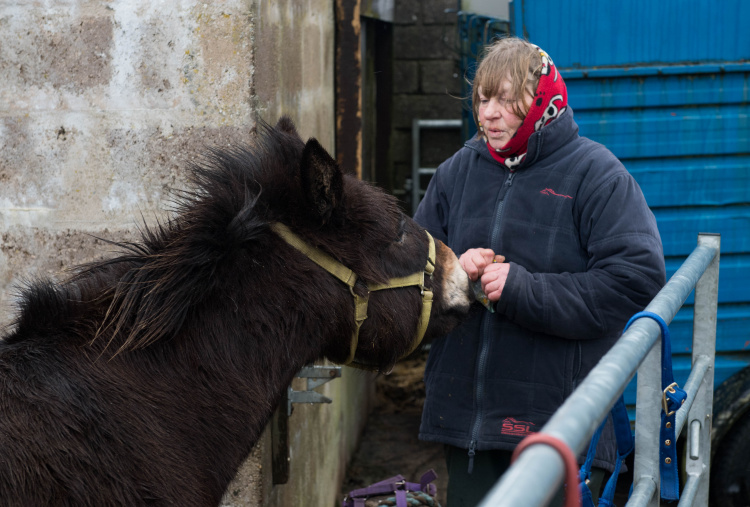 Getting the care they need from The Donkey Sanctuary