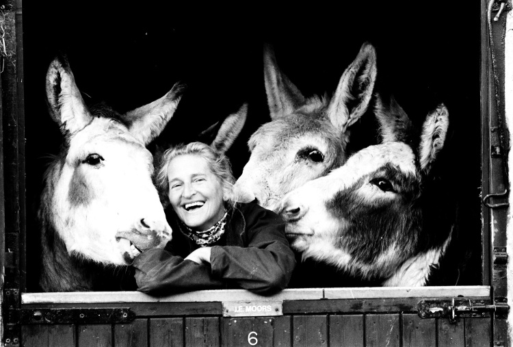 Dr Svendsend with donkeys in 1986