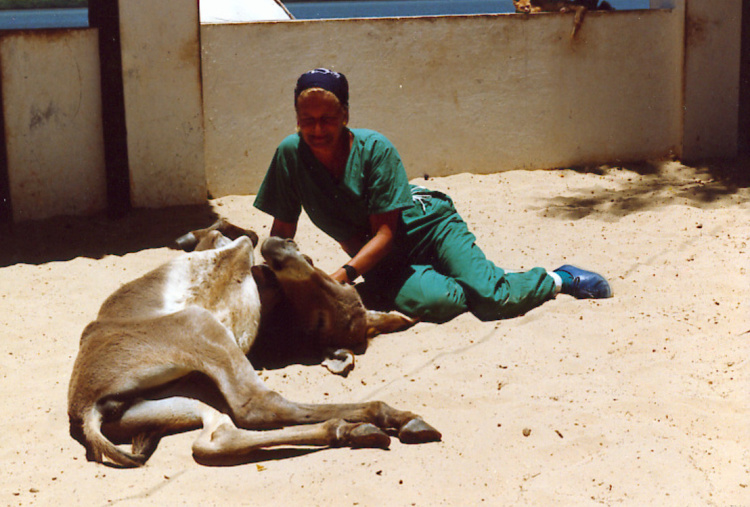Dr Svendsen relaxes with a Lamu donkey