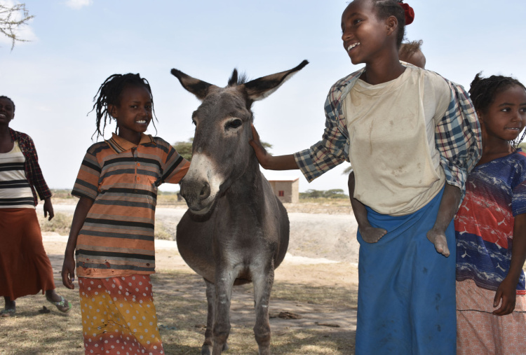 Children with donkey, Ethiopia