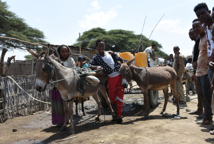 Margartu and Romia with donkey cart