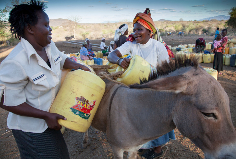 Two women help to load a donkey with water