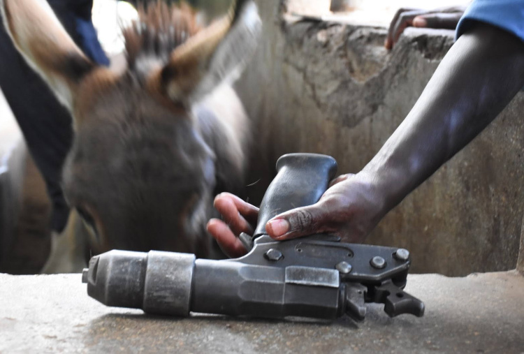 Bolt gun used at Kenyan slaughterhouse