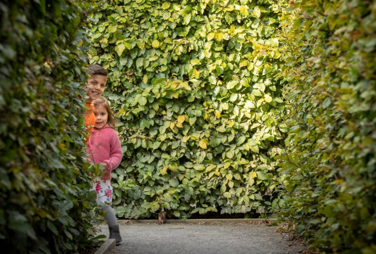 Children playing in the maze