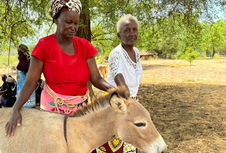 Two women with their donkey on World water day 2024 in the village of Nuu, Kenya