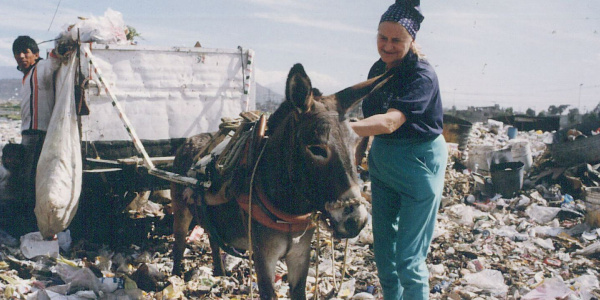 Dr Svendsen with working donkey in Mexico