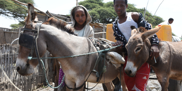 Siblings Margartu and Romia with their donkeys