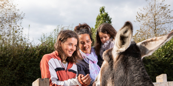 Mum and her two daughters meet donkey