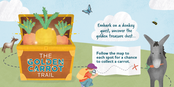 The golden carrot trail