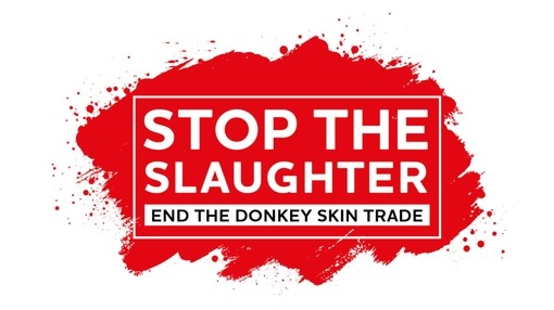 Campaign logo with red background with text reading Stop the Slaughter: End the donkey skin trade