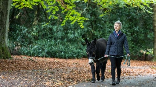 Women walking with donkey during donkey assisted activities session.