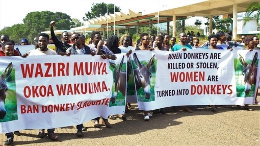 Donkey owners marching with banner (Copyright: Brooke).