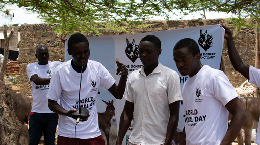 Hip Hop group Verbico performing their song save the donkeys.