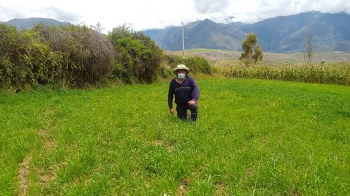 Lucio, a recipient of the project, shows the results of the donated forage seed.