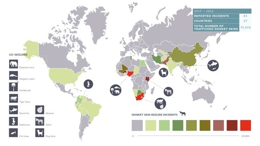 Map of number of reported incidents of illegal wildlife products seized alongside donkey skins.