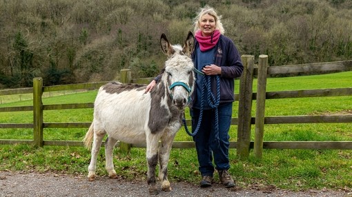 Donkey Oliver with Paccombe Farm groom Lisa Coles.