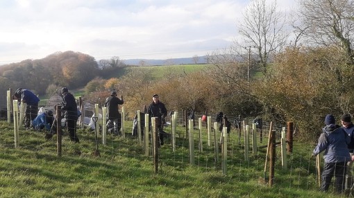 Ecology and Conservation team planting trees.