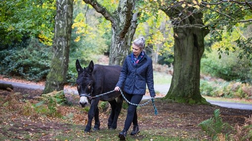 Women walking with donkey during wellbeing with donkeys session.