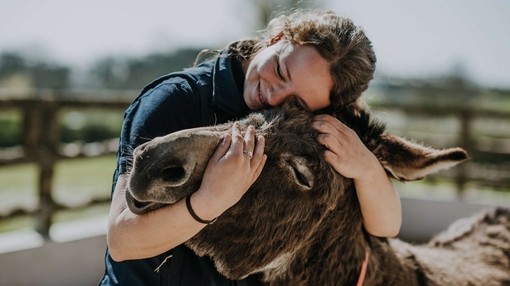 Groom hugging donkey