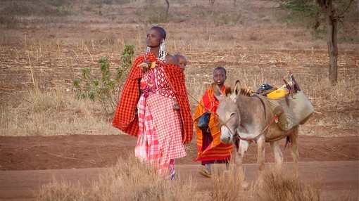 Masaai women and children with their donkey