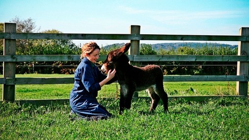Zena and Elena.