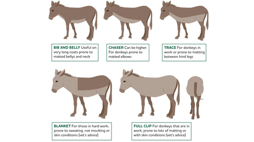 Clipping donkeys diagram.