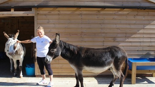 A donkey guardian stood with her two donkeys in a stable