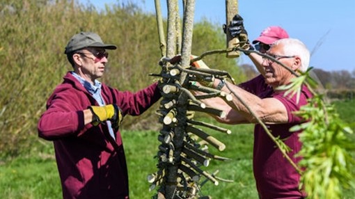 Alan, Eddie and Trevor as conservation volunteers