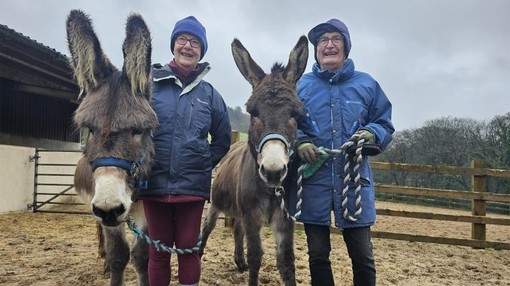 Bill and Jean as donkey-facing volunteers