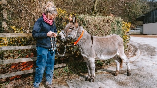 A women stood with a donkey in an outside