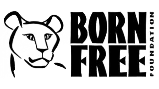 A logo with a line drawing of a lion and the words Born Free Foundation