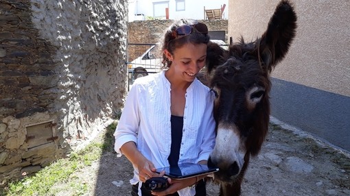 A women looking at an iPad with a Poitou donkey stood on her right