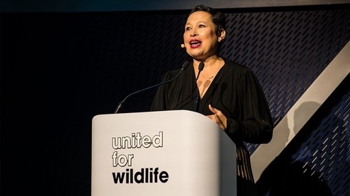 A women stood at a podium giving a speech