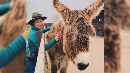 A women holding onto a Poitou donkey
