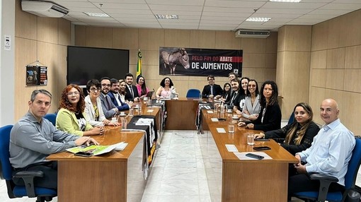 A group of people sat at desks in a conference room all looking to camera