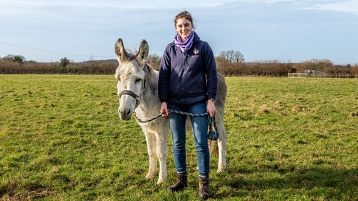 A women holding stood with a white donkey holding a lead in a field