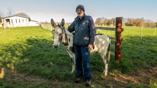 A man stood with a white and brown skewbald donkey in a field