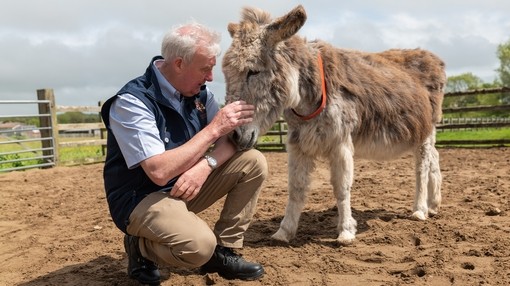 A man crouching beside a small beige donkey