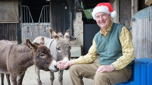 A man wearing a red Christmas hat whilst sat in stables with two donkeys