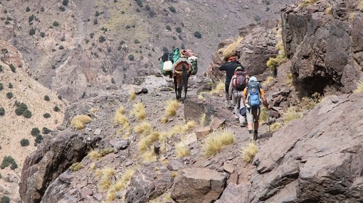 A far away image of three men trekking on a mountain side alongside a mule carrying belongings.
