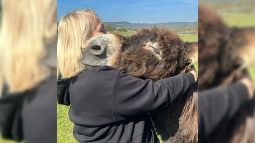 A blonde women hugging a brown donkey as it rests it head on her shoulder.